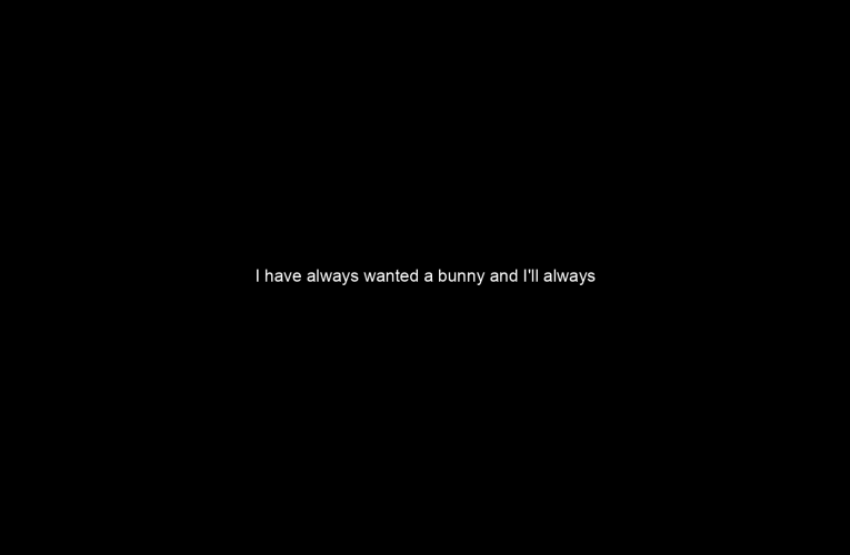 I have always wanted a bunny and I'll always have a rabbit the rest of my life.